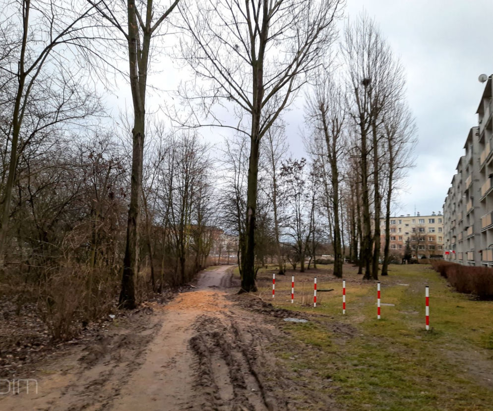Park powstanie wzdłuż al. Praw Kobiet na poznańskich Naramowicach