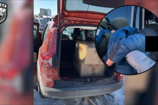 Marihuana warta ponad milion upchana w Dacii. Szybka akcja CBŚP pod Warszawą