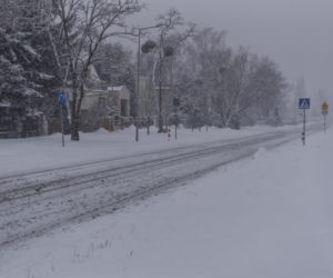  Zamordował Sylwię i powiesił sie w lesie
