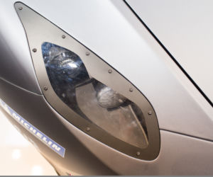 Arrinera Hussarya