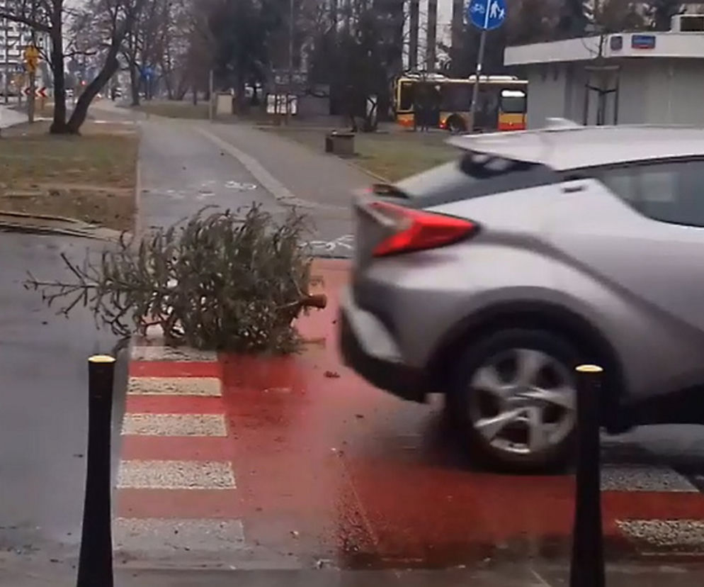 Fruwająca choinka na Pradze