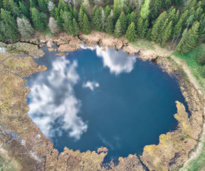 Stańczyki