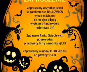 Halloween Park Ostrowska