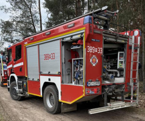 Mruczek wpadł do starej studni. Rozpaczliwym miauczeniem wołał pomocy