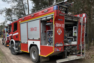 Mruczek wpadł do starej studni. Rozpaczliwym miauczeniem wołał pomocy