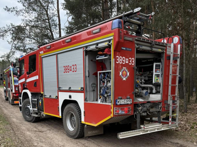 Mruczek wpadł do starej studni. Rozpaczliwym miauczeniem wołał pomocy