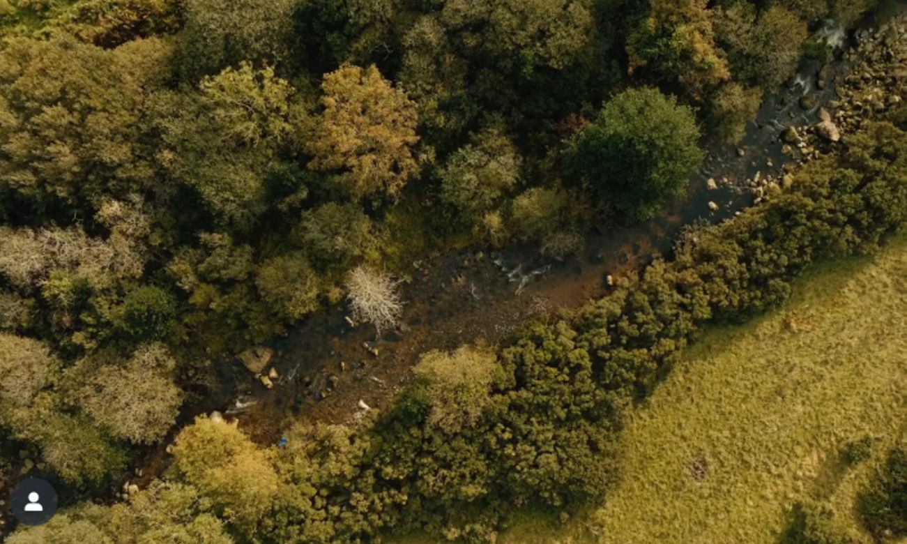 Księżna Kate jest jesieniarą! Nowy film może wzruszyć