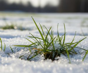 Radykalne ocieplenie w Polsce nadchodzi. Kiedy termometry pokażą aż tyle?