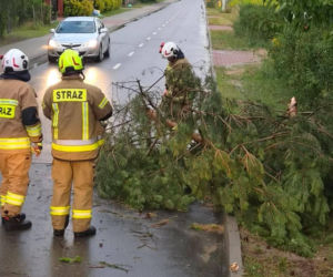 Skutki burz w Siedlcach i powiecie siedleckim