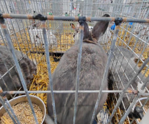 Zoopark Lublin 14.03.26