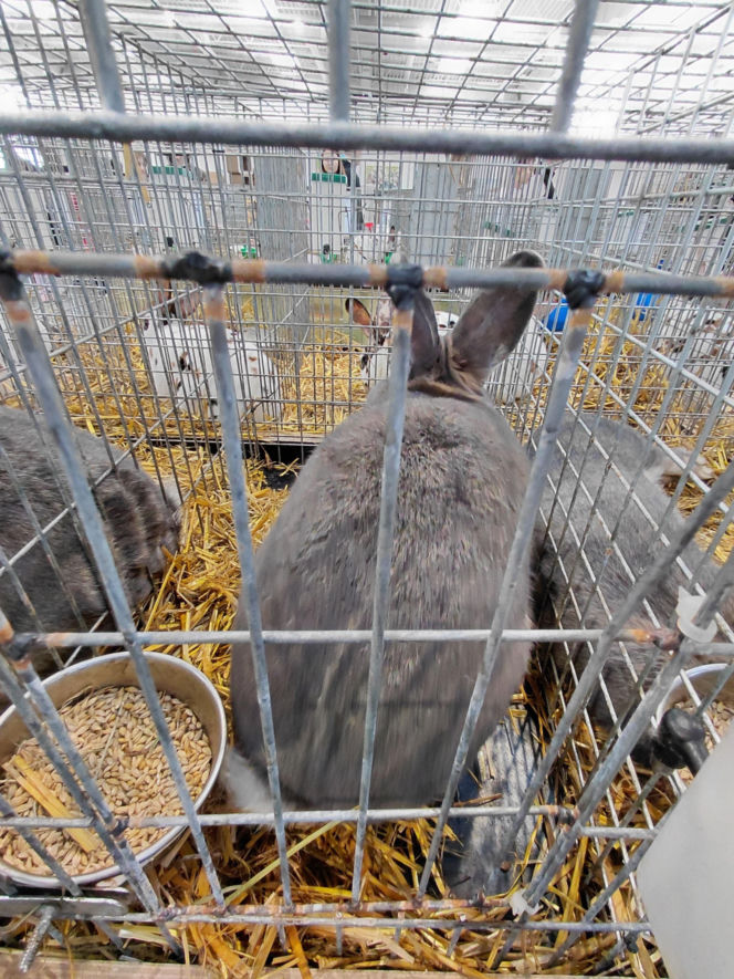 Zoopark Lublin 14.03.26