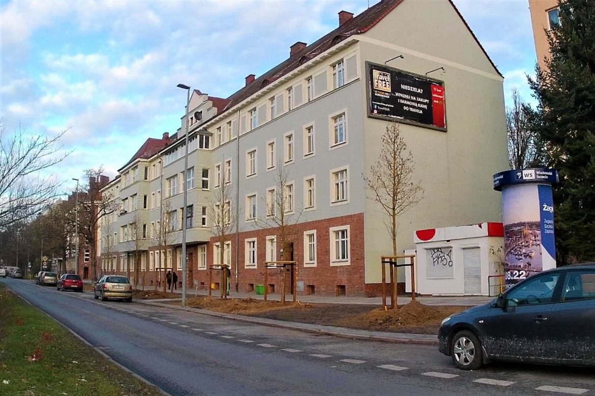Drzewa powróciły na aleję Bohaterów Warszawy