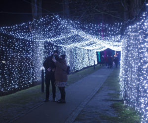 Park Iluminacji w zamku Topacz