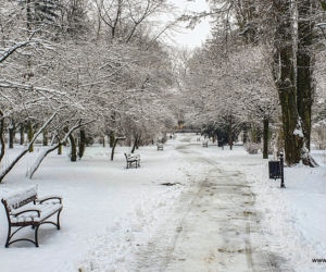 Park Jakuba Wagi zimą