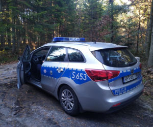600 sztuk amunicji w starachowickich lasach