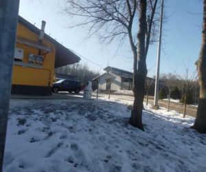 Zamieszanie w schronisku dla zwierząt w Bytomiu