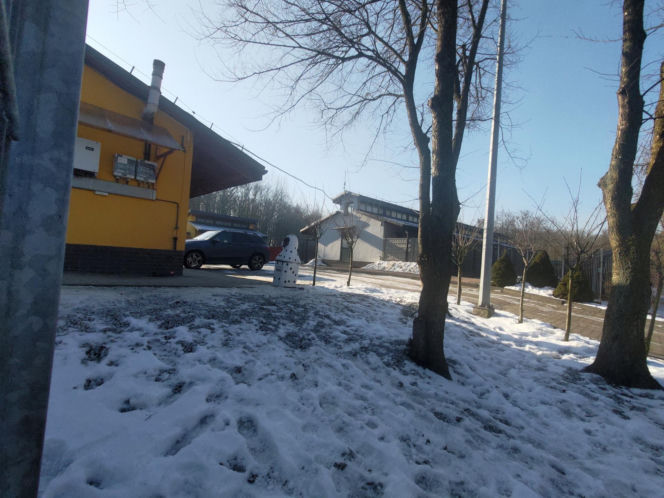 Zamieszanie w schronisku dla zwierząt w Bytomiu