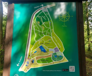 Leśne Arboretum w Kudypach. Jedno z piękniejszych miejsc na Warmii [ZDJĘCIA]