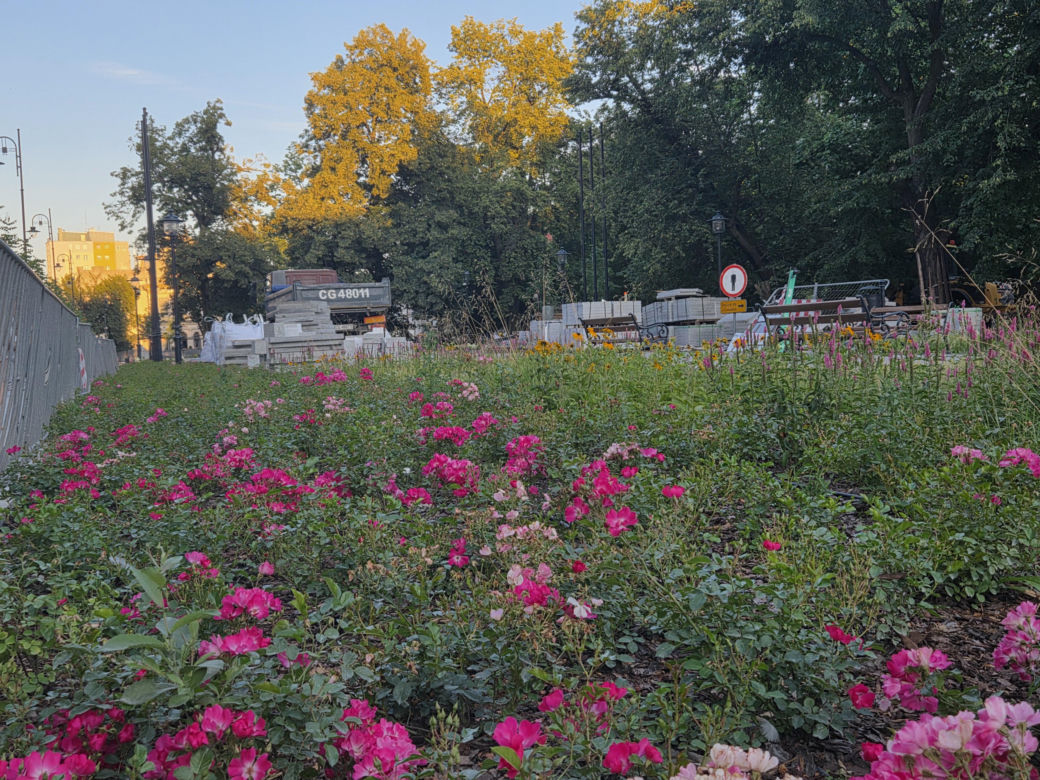 Plac Wolności w Bydgoszczy już bez pomnika, ale z nową rzeźbą. Sprawdzamy, kiedy koniec prac