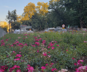 Plac Wolności w Bydgoszczy już bez pomnika, ale z nową rzeźbą. Sprawdzamy, kiedy koniec prac