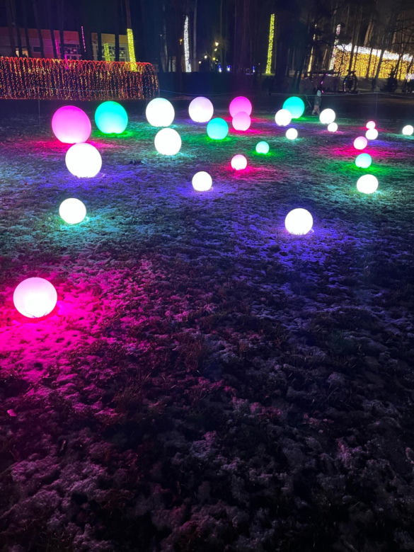 Garden of Lights w Szczecinie