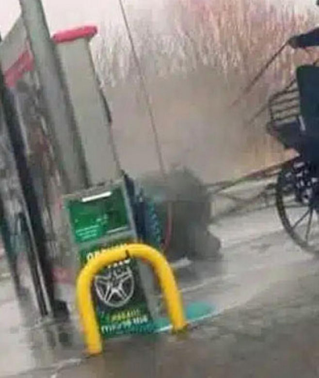 Szok w Makowie Mazowieckim! Umyli konia myjką ciśnieniową