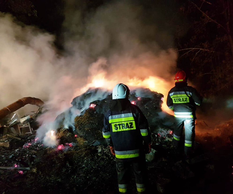 Straszny pożar w Łomnicy-Zdroju. Zginęły zwierzęta