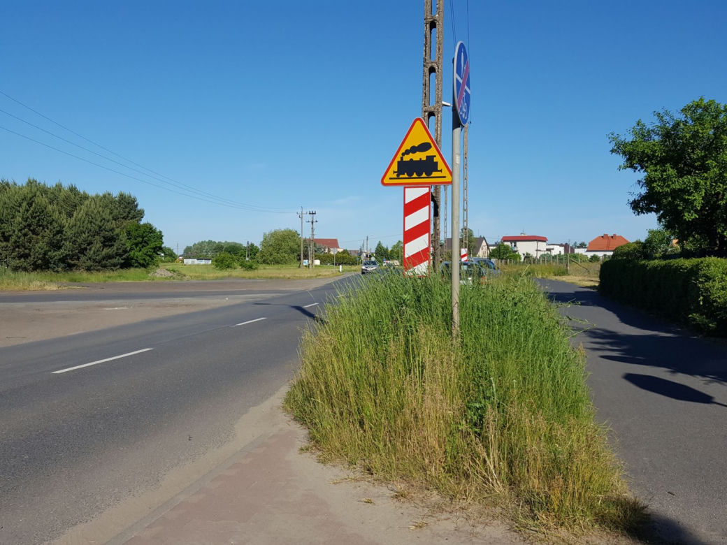 Tak wysokich chwastów przy drogach w Lesznie dawno nie oglądaliśmy