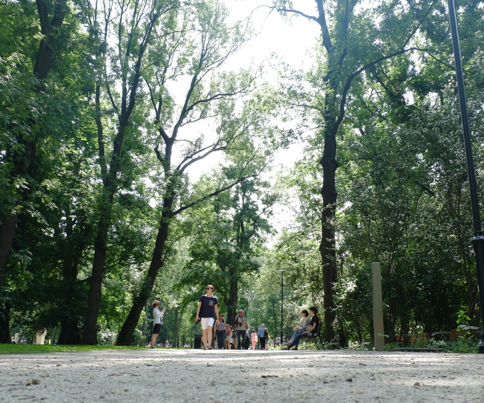 Patronem Parku Krakowskiego został Marek Grechuta