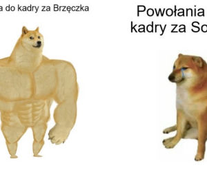 Reakcja internautów na powołania Sousy