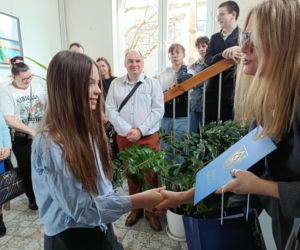 Rysowane malowane do szuflady