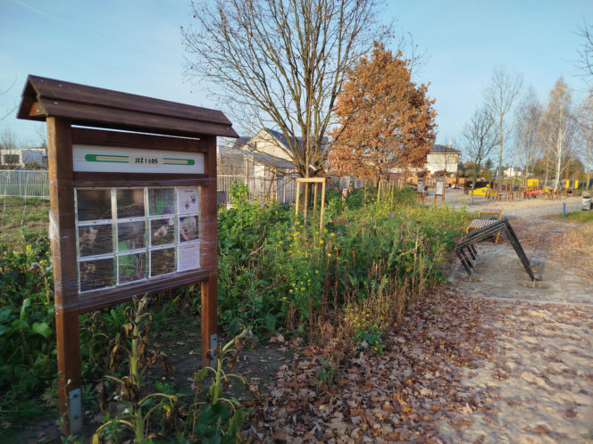 Park kieszonkowy Siedlce, ul. Traugutta
