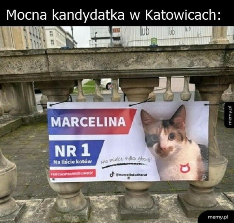 Wybory samorządowe 2024. Te memy zostaną ci w pamięci na długo! 