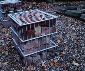 Teren wokół Wieży Quistorpa został uporządkowany