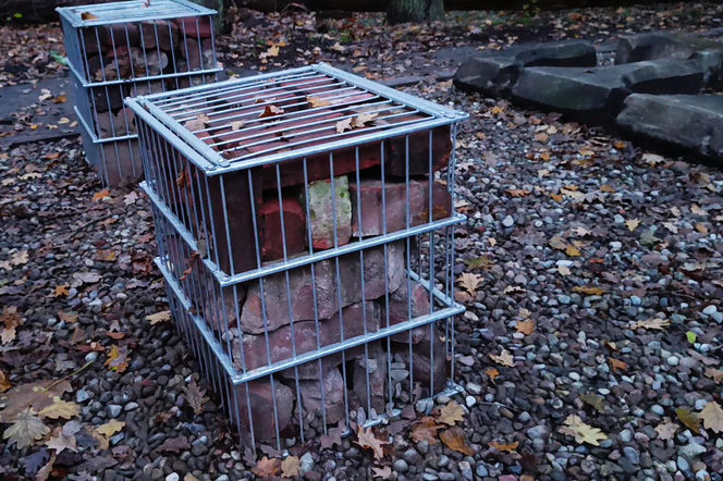 Teren wokół Wieży Quistorpa został uporządkowany