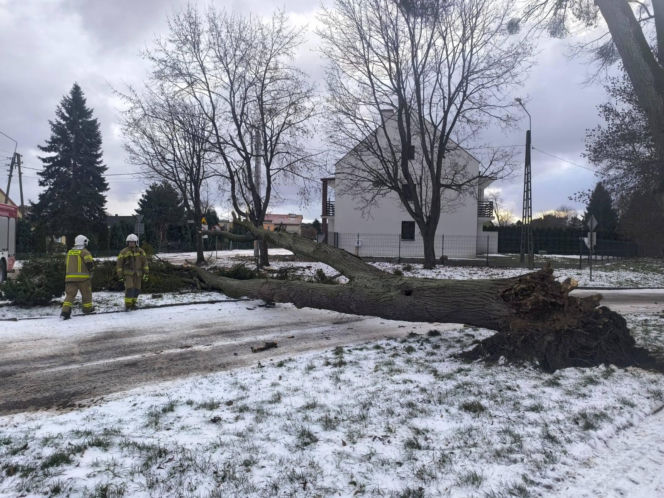 Wichura zniszczyła zabytkową kapliczkę przy sanktuarium
