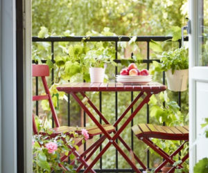 Rośliny na balkon