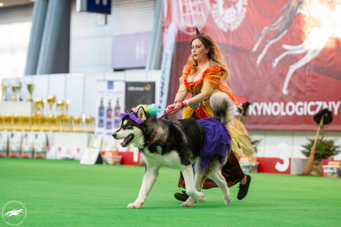 Duo Cacib Kielce - Międzynarodowa Wystawa Psów Rasowych w Targach Kielce