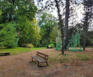 Poznański park iluminacji Magiczny Las
