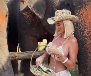 Gwiazdy witają nowy rok w bikini