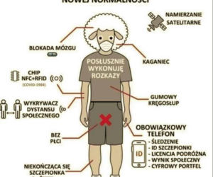 Polacy nie wierzą w koronawirusa. Zobacz memy 