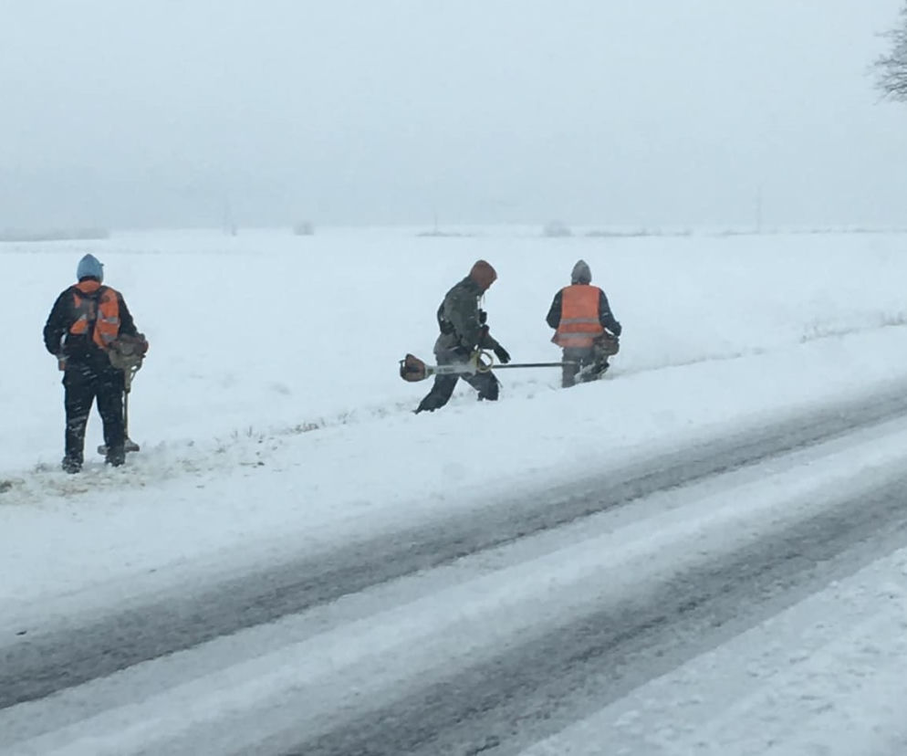 Kosili trawę w śniegu! Drogowy absurd koło Leszna