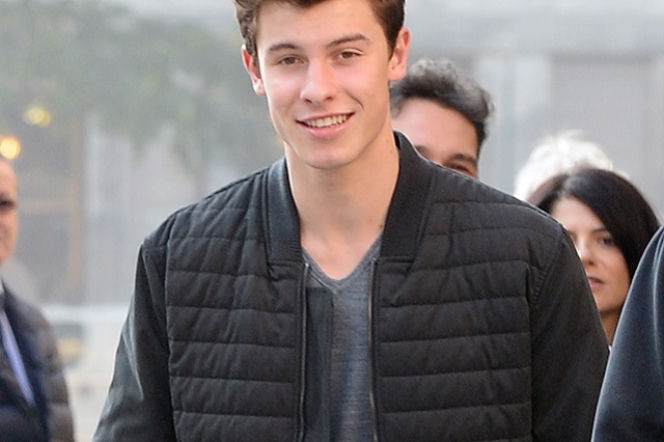 Shawn Mendes w Summer of Love - kogo zagra w musicalu?