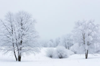 Mroźna zima nadciąga. Kiedy siarczysty chłód uderzy w całą Polskę?