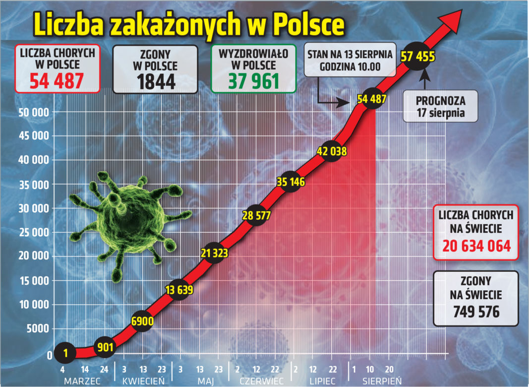 Koronawirus w Polsce. Statystyki, wykresy, grafiki (13 sierpnia)