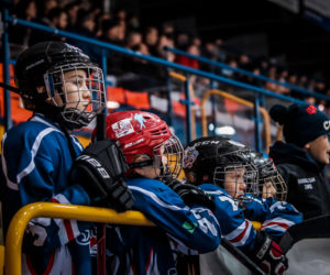 KH Energa Toruń - Re-Piast Unia Oświęcim, zdjęcia z Tor-Toru
