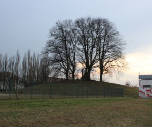 Wzgórze Napoleona w Szczecinie