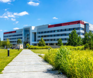 Kampus SGGW w Warszawie