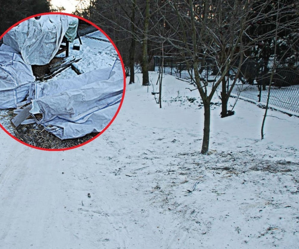 Ciągnął 23-latkę na sznurze za samochodem. Zgroza w Rozwadowie!