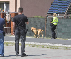 Do poszukiwań Dawidka zostały włączone specjalne psy niemieckiej policji